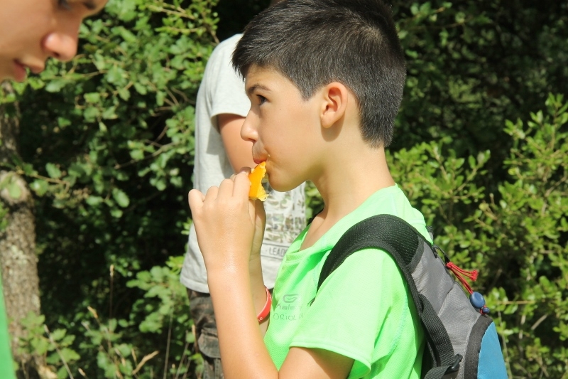 Village Camps International Summer Camp Ard&egrave;che, France 2019-07-26 https://www.villagecamps.com/journals_admin/images/909-22-07-01-2014(800x533) (25).jpg
